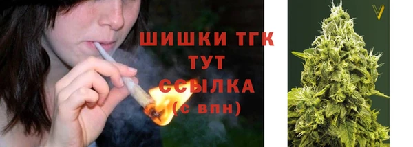 соль курить ск Богданович