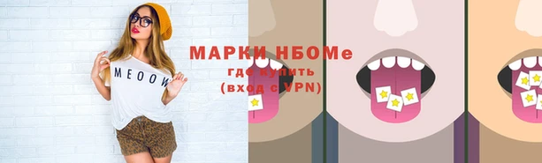 mix Богородицк