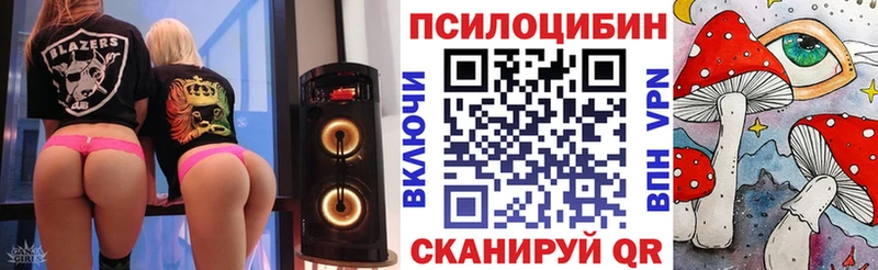 наркотики  Мглин  Галлюциногенные грибы Psilocybine cubensis 